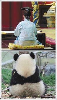 做一回娱乐圈吃瓜群众